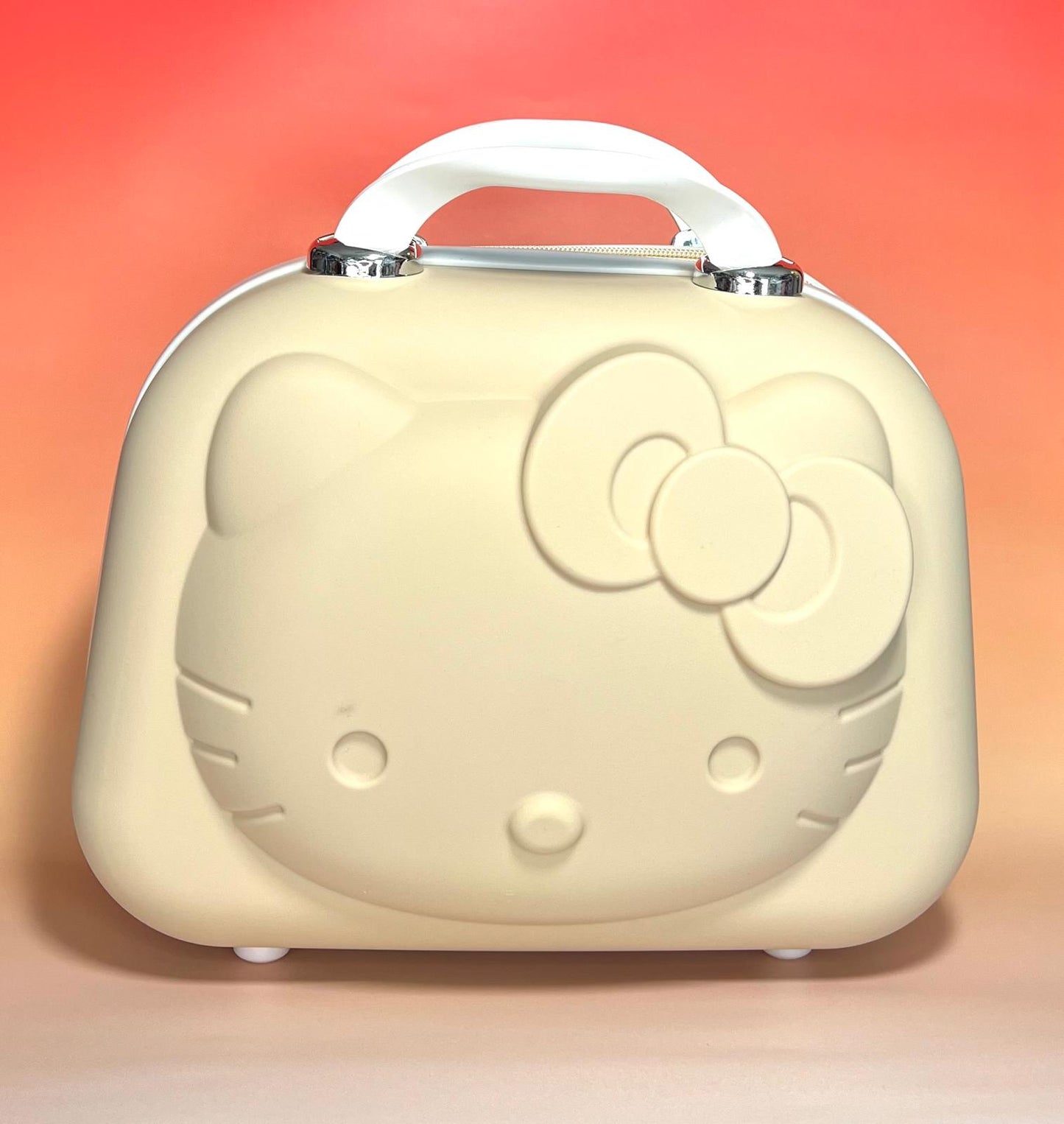 Cosmetic Case